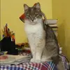 Отзыв от Лия Корнеева